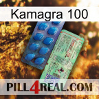 Kamagra 100 new02